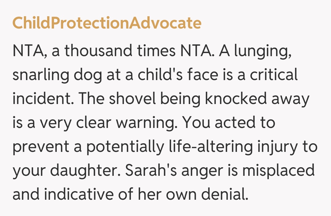 Comentariu de la ChildProtectionAdvocate