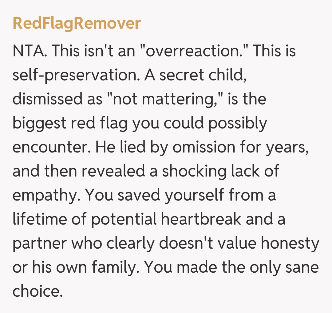 Comentariu de la RedFlagRemover