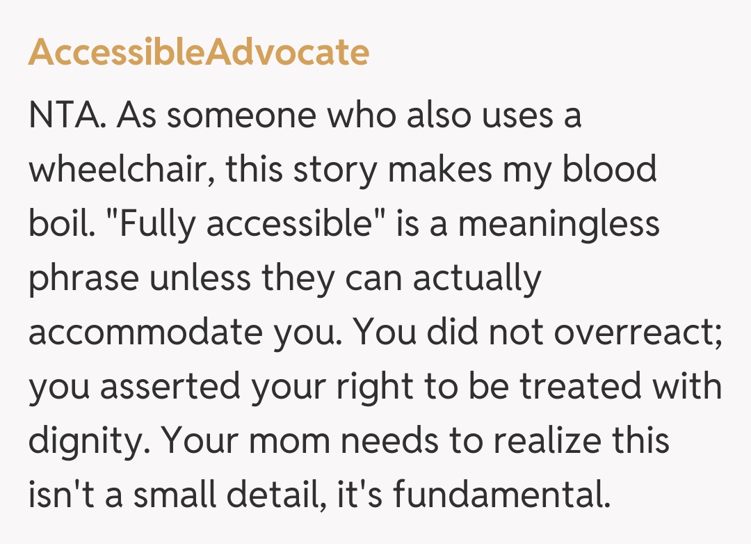 Comentariu de la AccessibleAdvocate