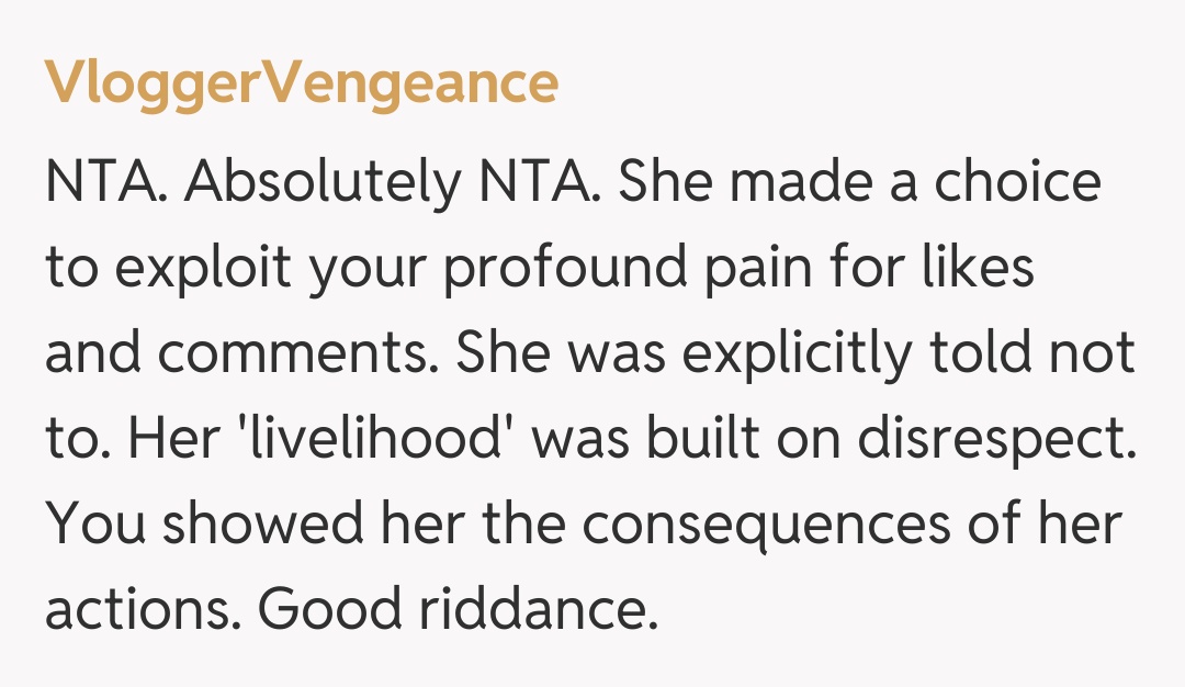 Comentariu de la VloggerVengeance