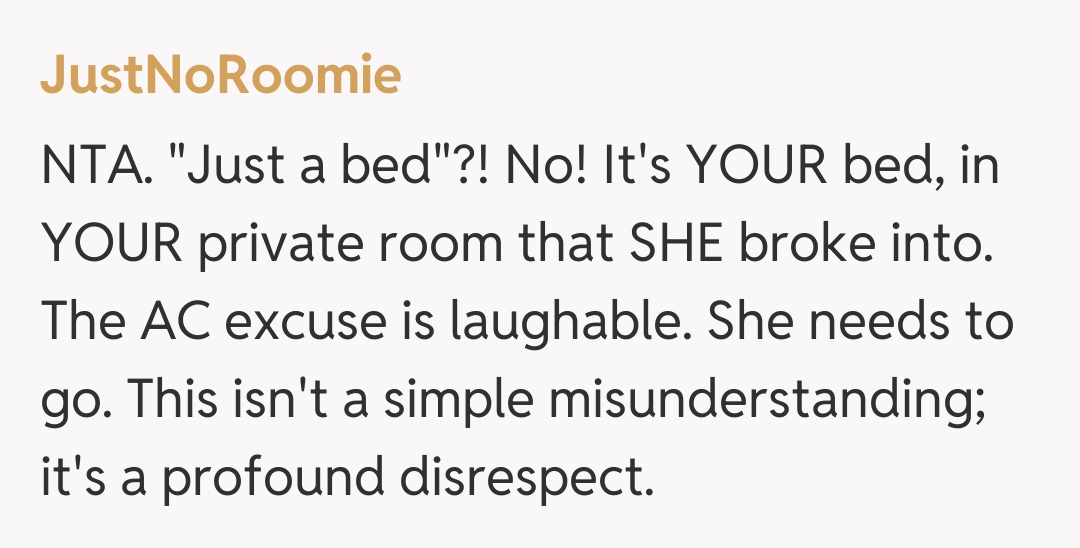 Comentariu de la JustNoRoomie