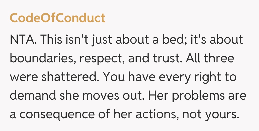 Comentariu de la CodeOfConduct