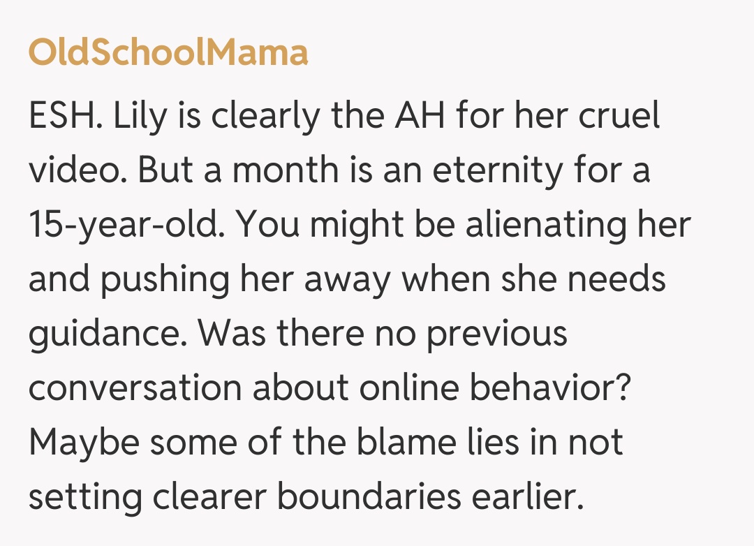 Comentariu de la OldSchoolMama