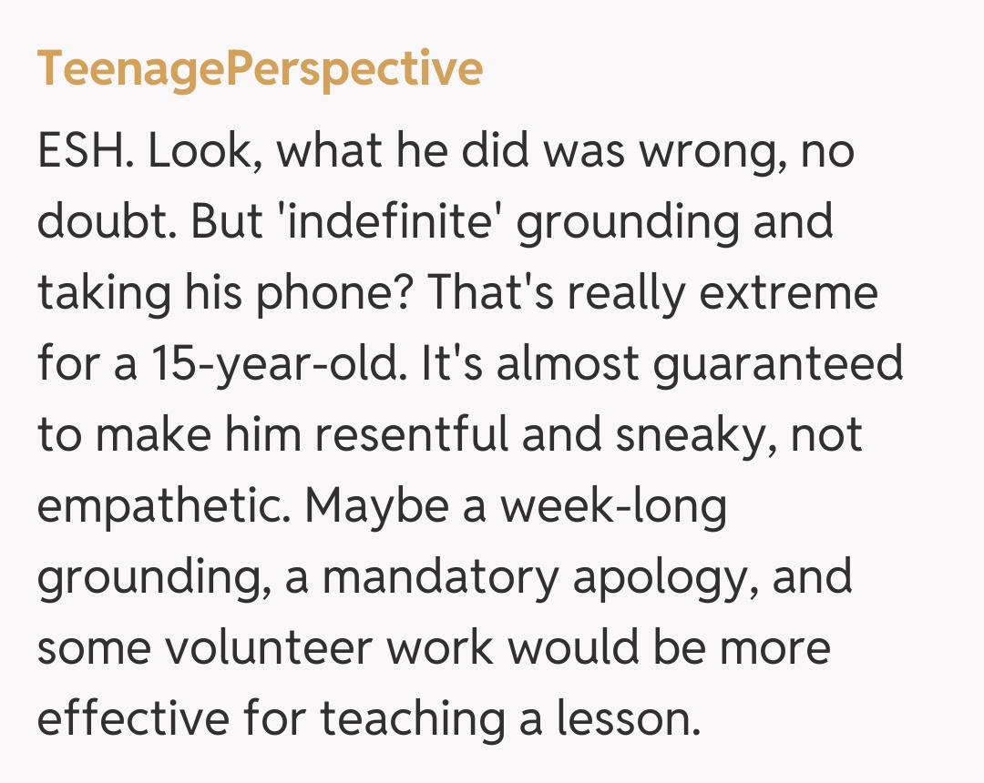 Comentariu de la TeenagePerspective