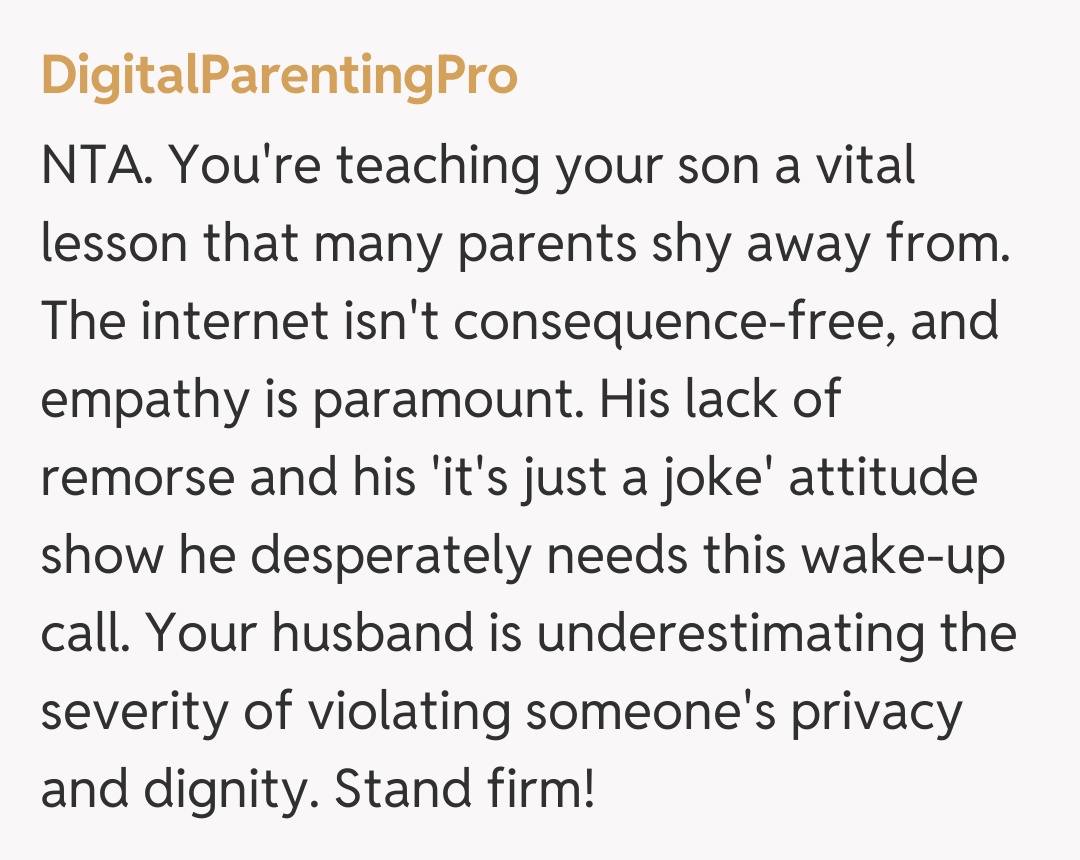 Comentariu de la DigitalParentingPro