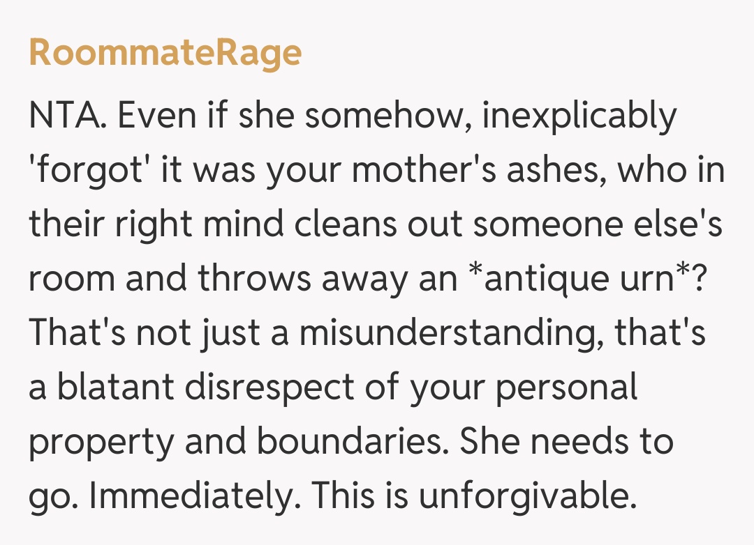 Comentariu de la RoommateRage