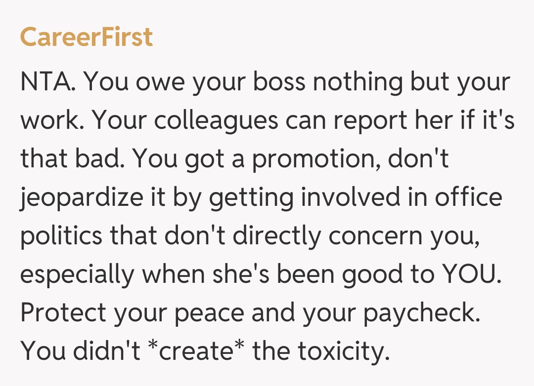 Comentariu de la CareerFirst