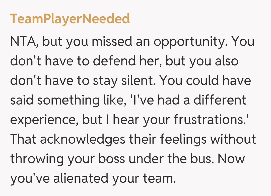 Comentariu de la TeamPlayerNeeded