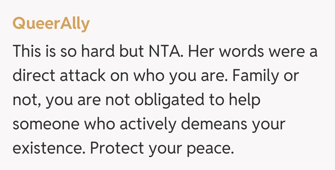 Comentariu de la QueerAlly