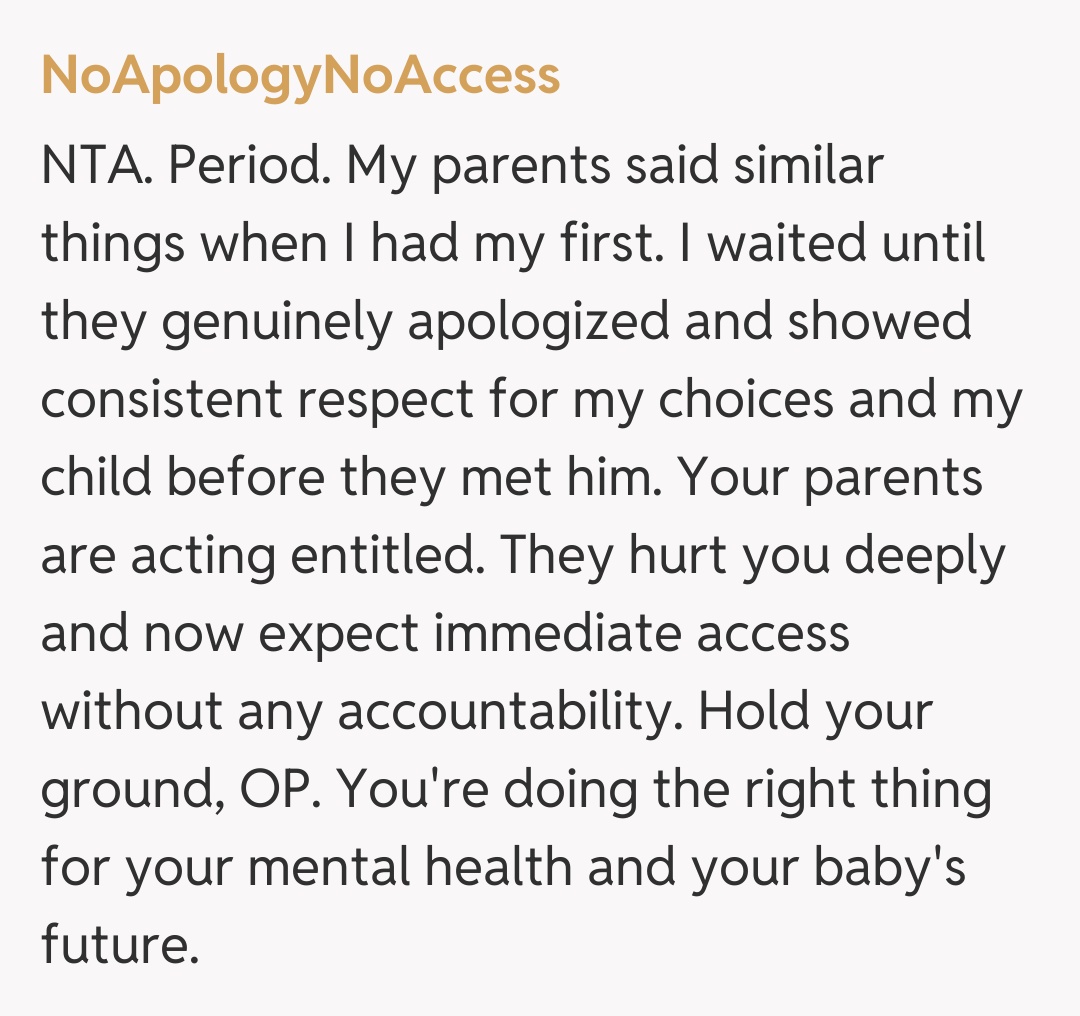 Comentariu de la NoApologyNoAccess