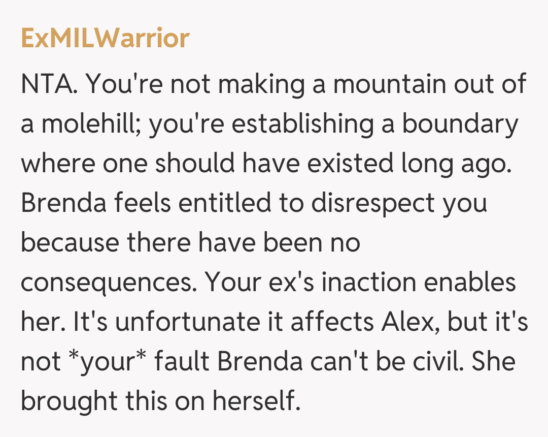 Comentariu de la ExMILWarrior