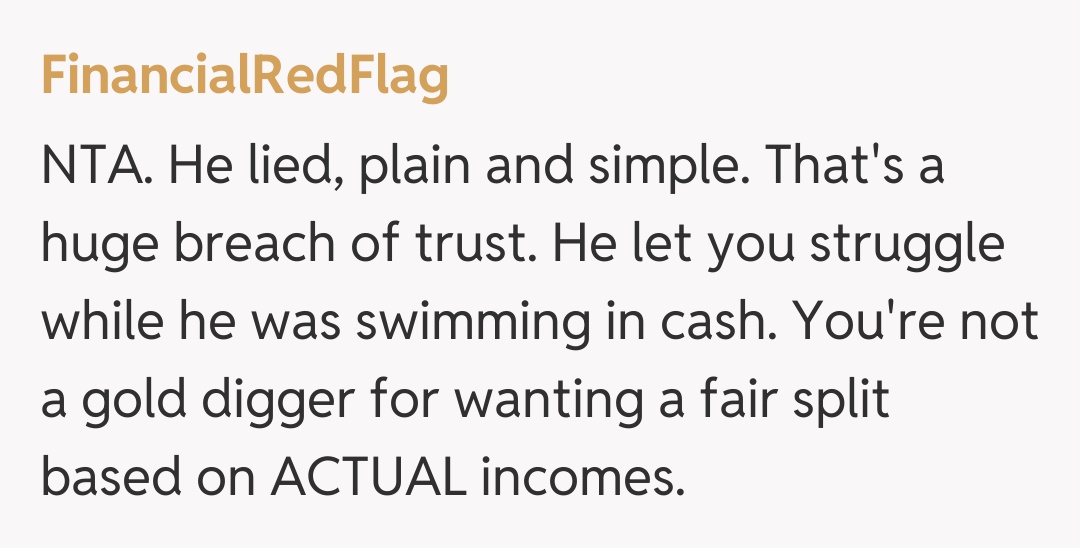 Comentariu de la FinancialRedFlag