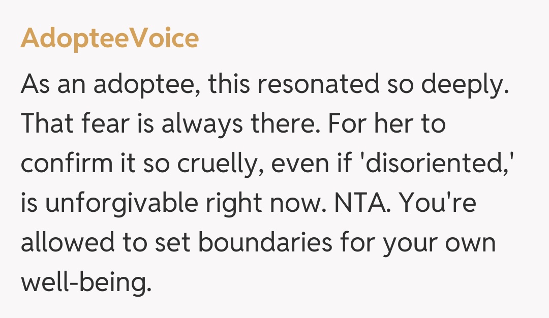 Comentariu de la AdopteeVoice