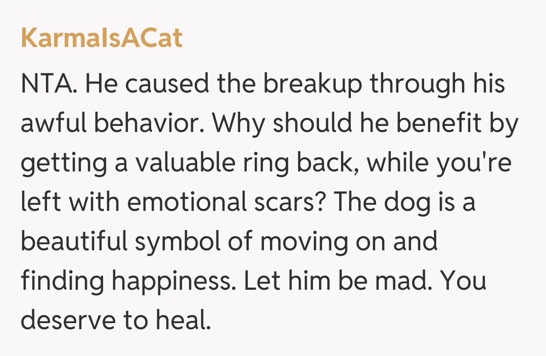 Comentariu de la KarmaIsACat