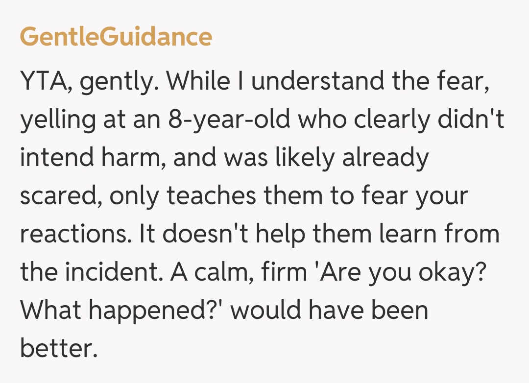 Comentariu de la GentleGuidance