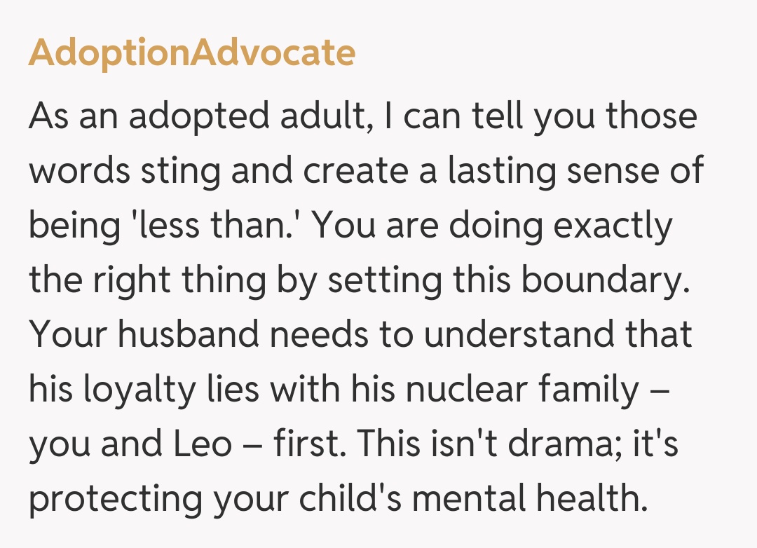 Comentariu de la AdoptionAdvocate