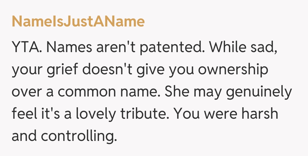 Comentariu de la NameIsJustAName