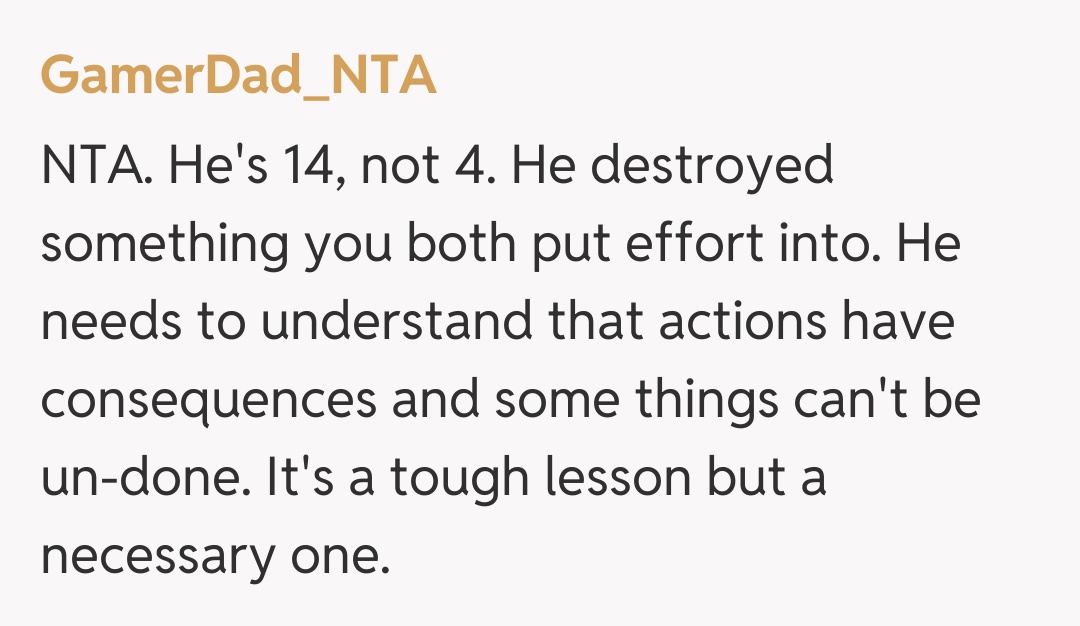 Comentariu de la GamerDad_NTA