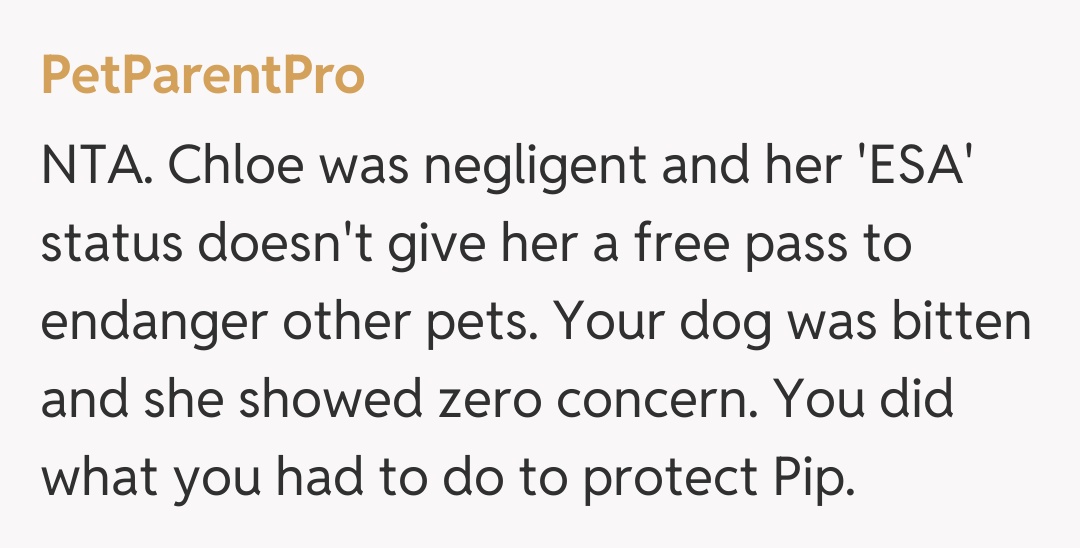 Comentariu de la PetParentPro