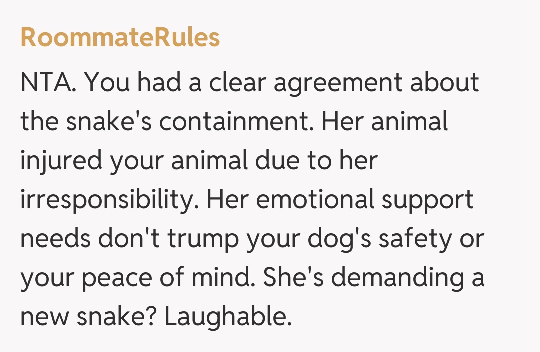 Comentariu de la RoommateRules