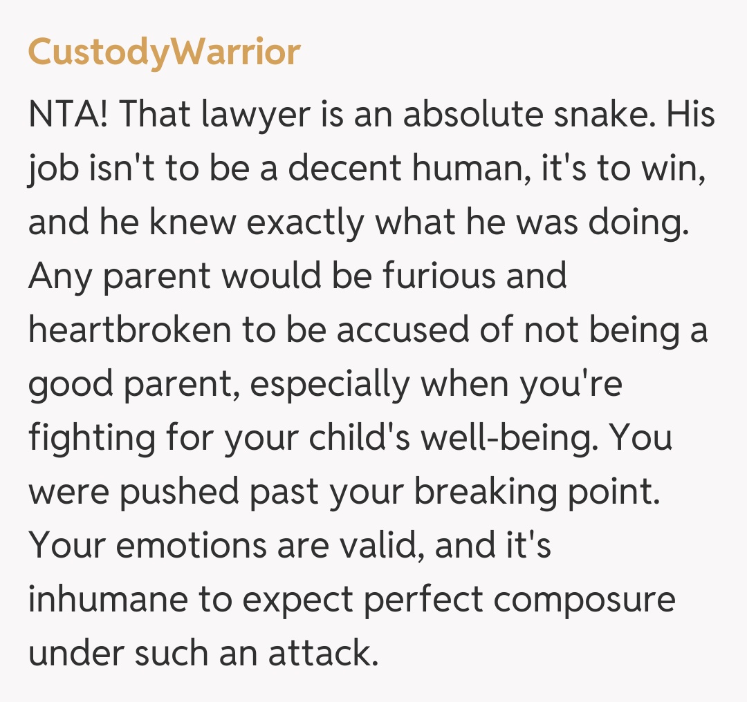 Comentariu de la CustodyWarrior