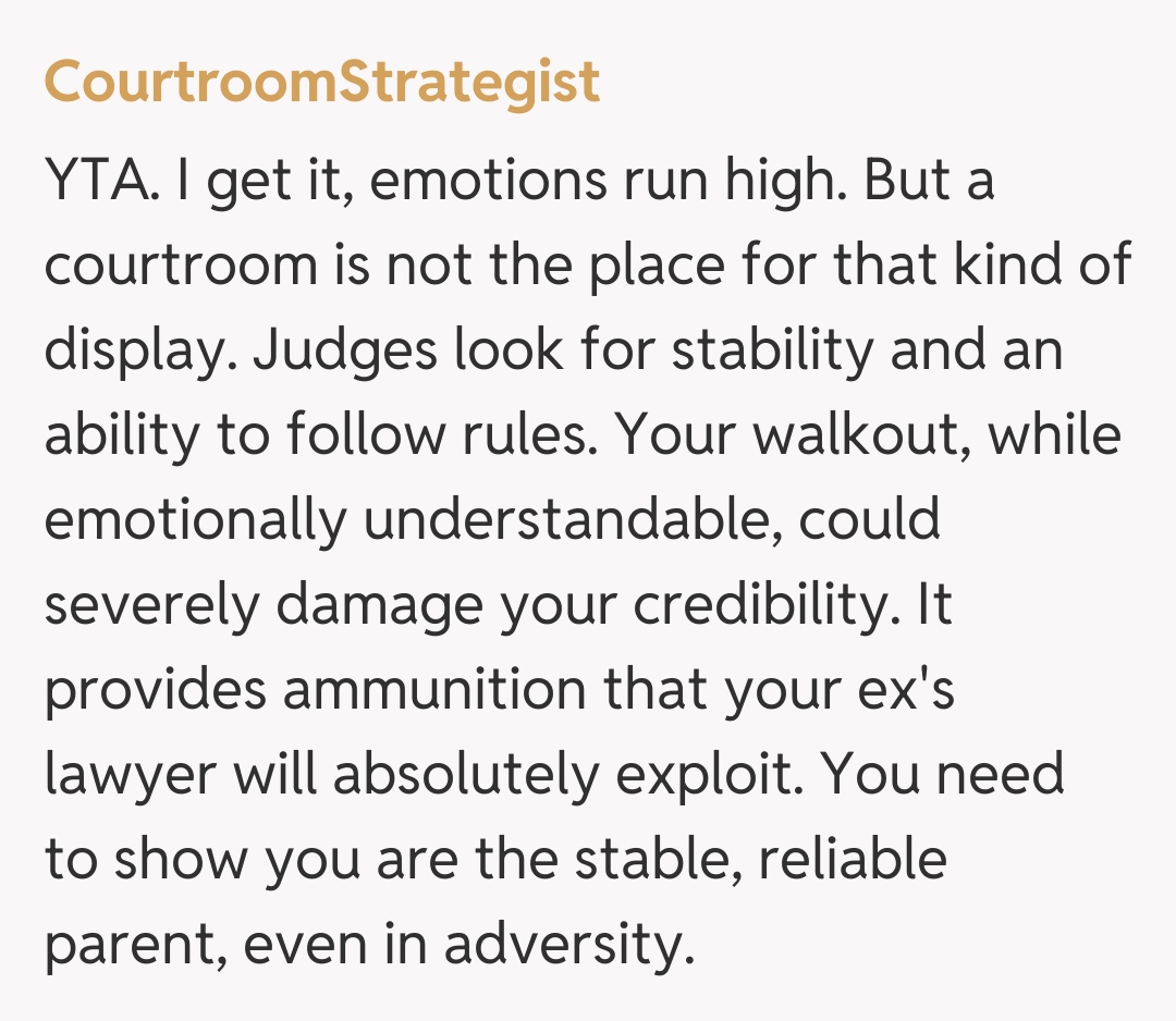 Comentariu de la CourtroomStrategist