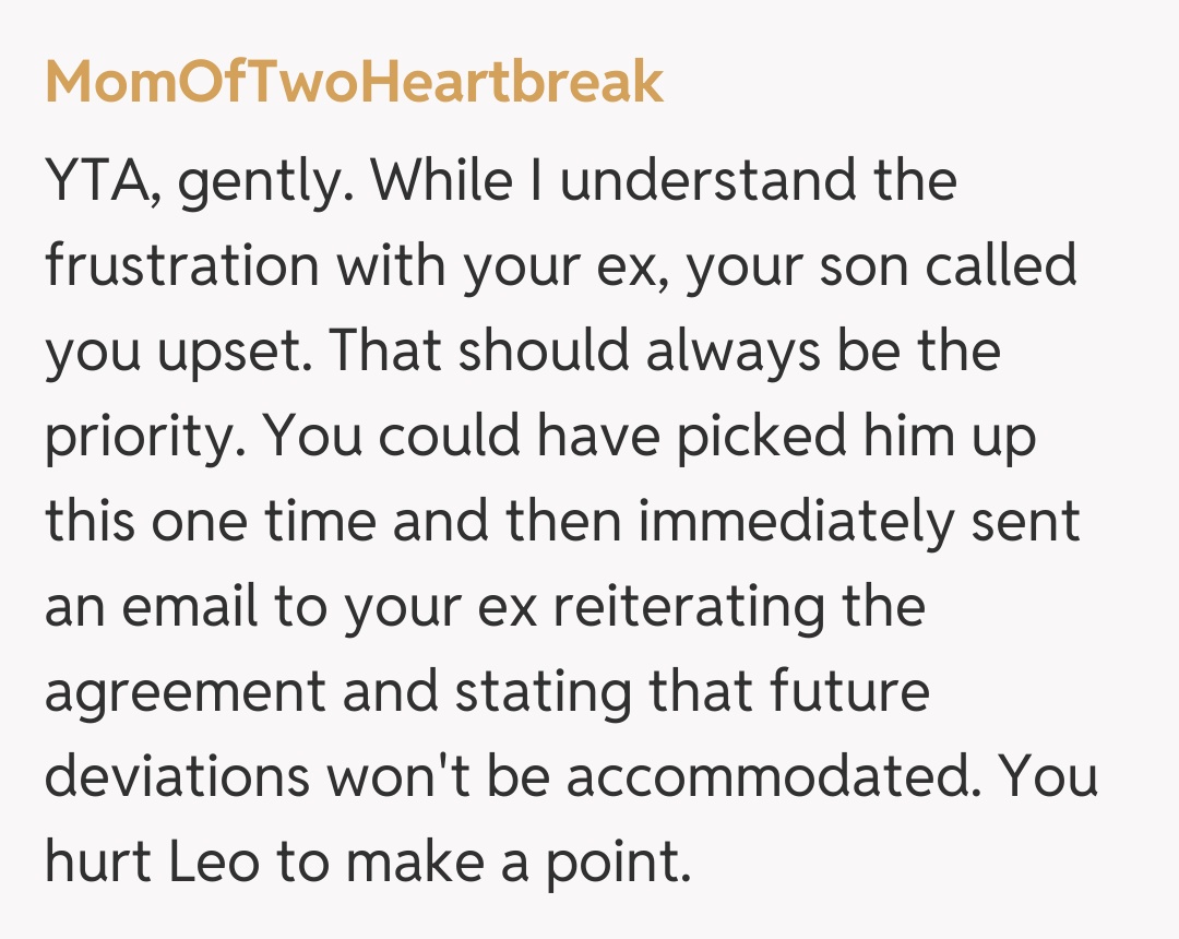 Comentariu de la MomOfTwoHeartbreak