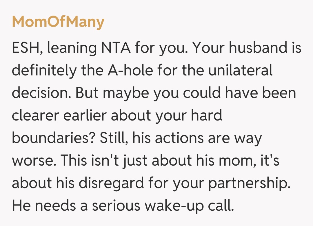 Comentariu de la MomOfMany