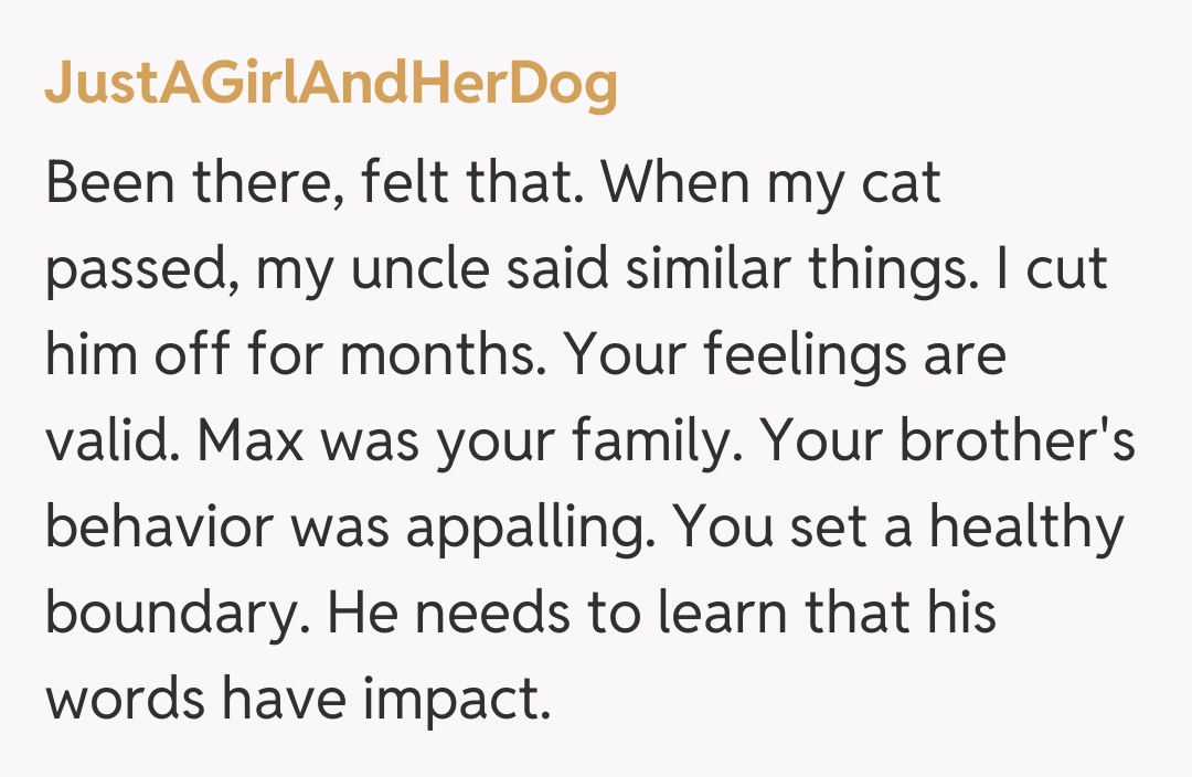 Comentariu de la JustAGirlAndHerDog