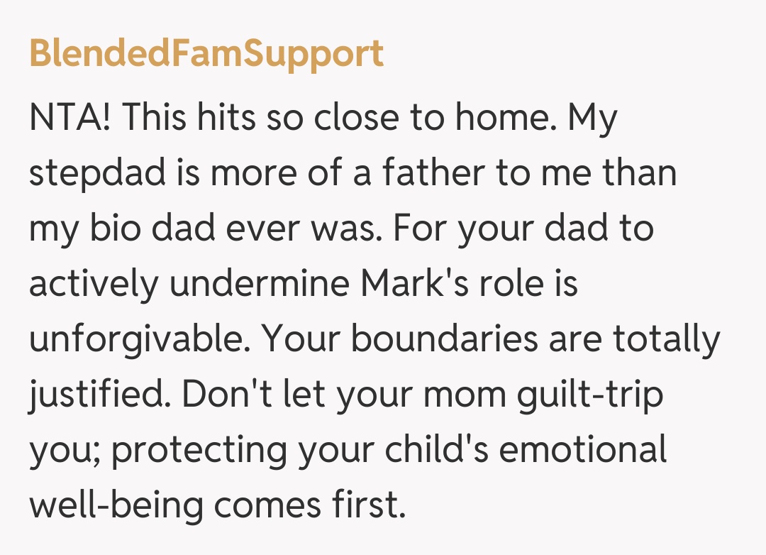 Comentariu de la BlendedFamSupport