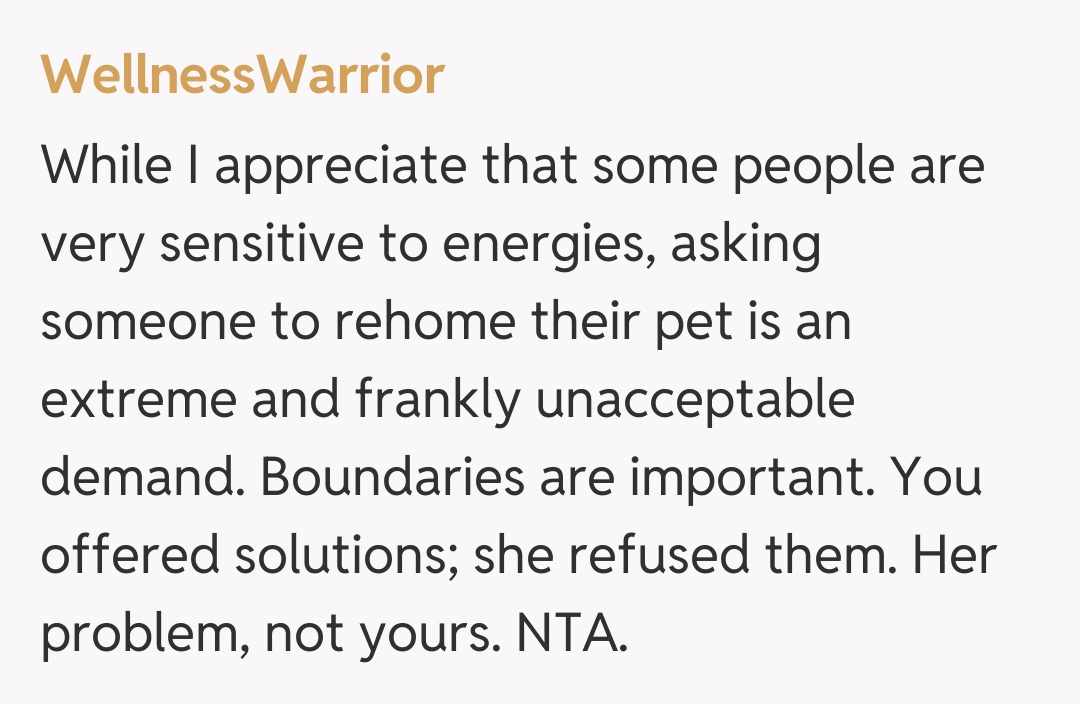 Comentariu de la WellnessWarrior