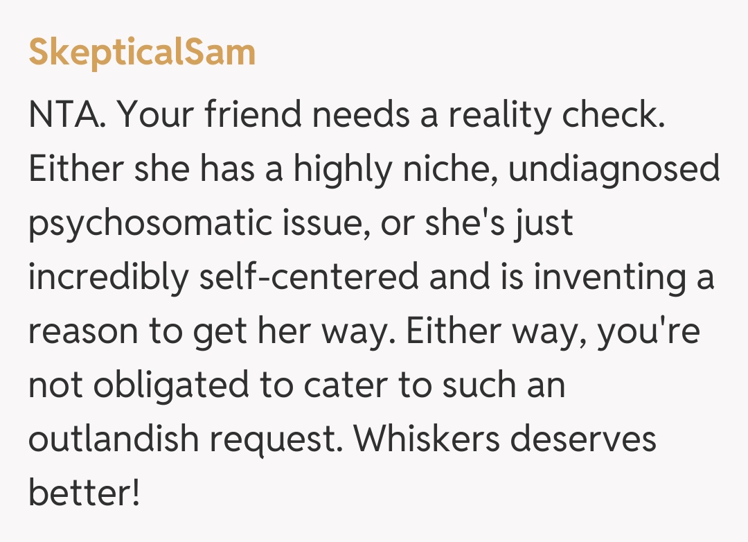 Comentariu de la SkepticalSam