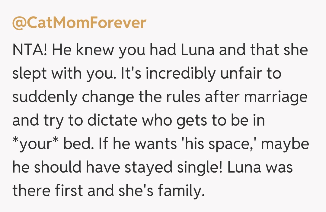 Comentariu de la @CatMomForever