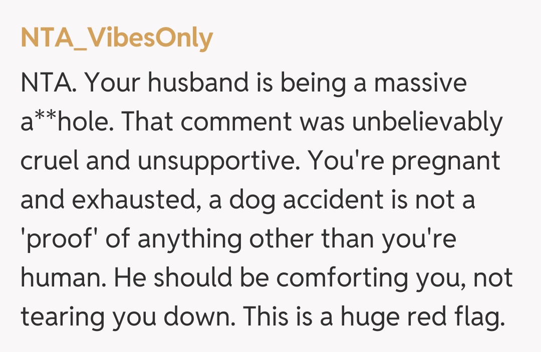 Comentariu de la NTA_VibesOnly