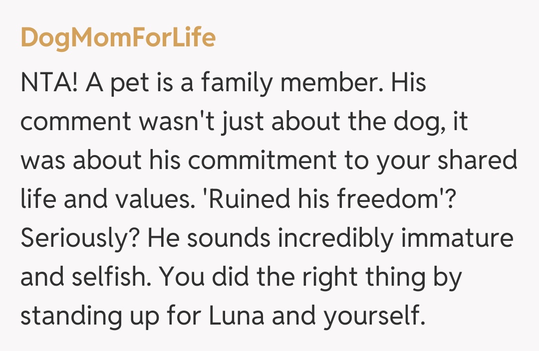 Comentariu de la DogMomForLife