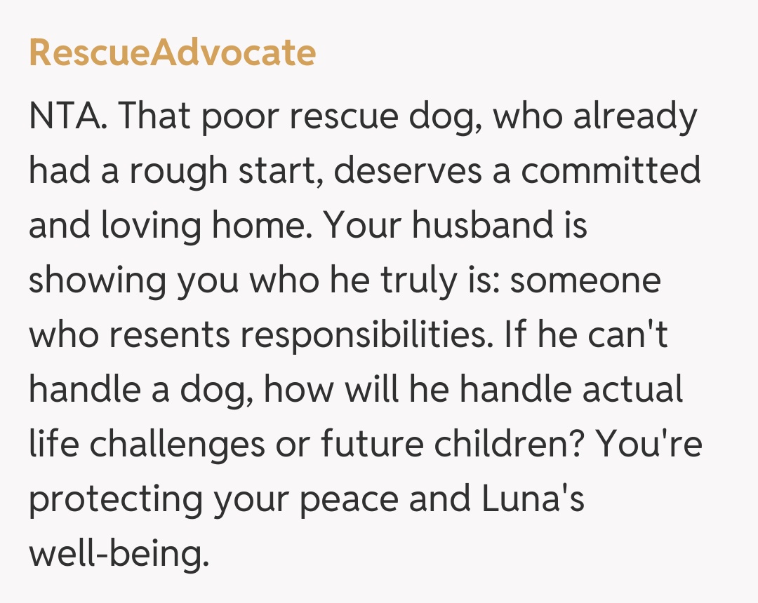 Comentariu de la RescueAdvocate