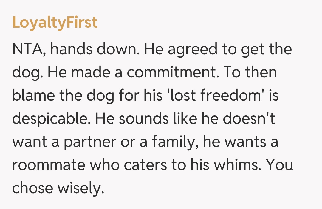 Comentariu de la LoyaltyFirst