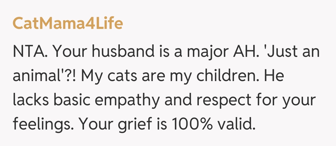 Comentariu de la CatMama4Life