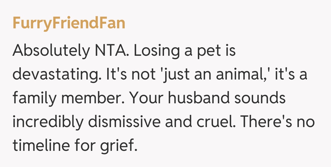 Comentariu de la FurryFriendFan