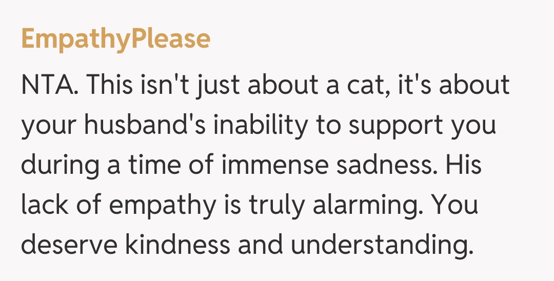 Comentariu de la EmpathyPlease