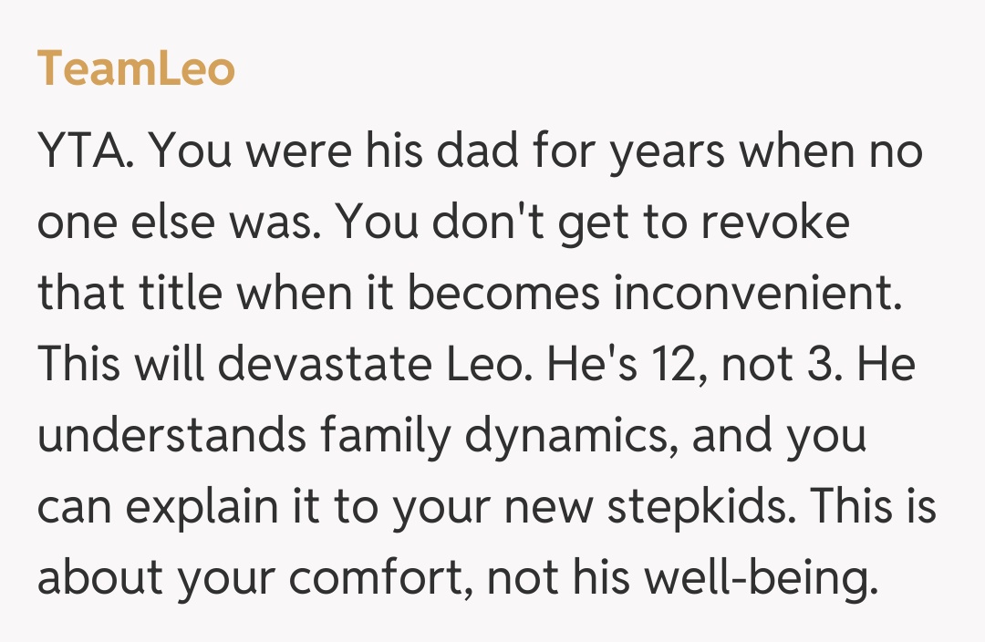 Comentariu de la TeamLeo