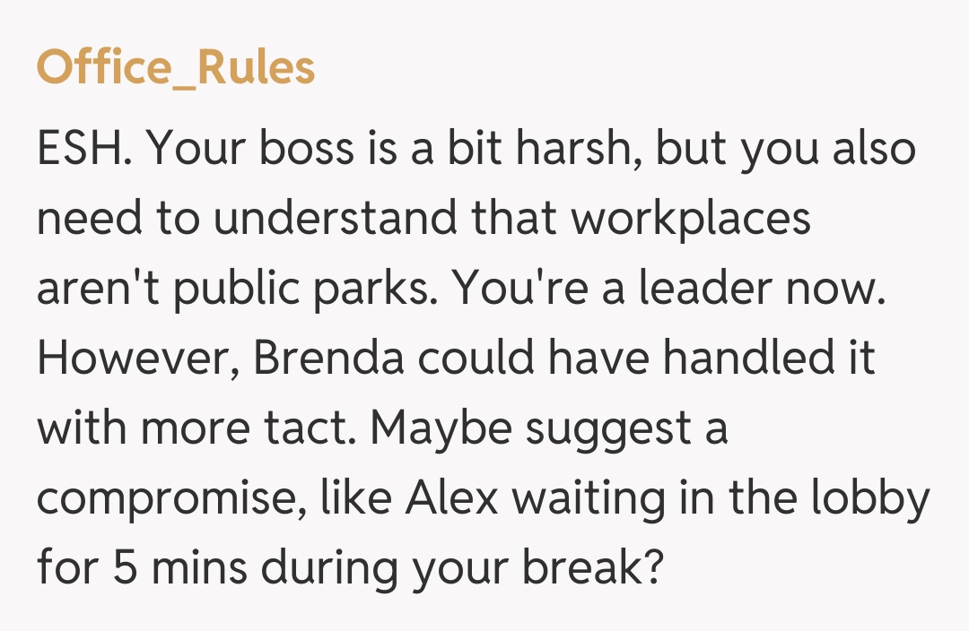 Comentariu de la Office_Rules