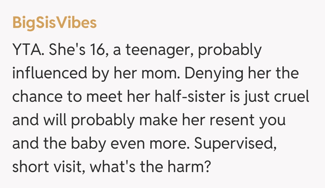 Comentariu de la BigSisVibes