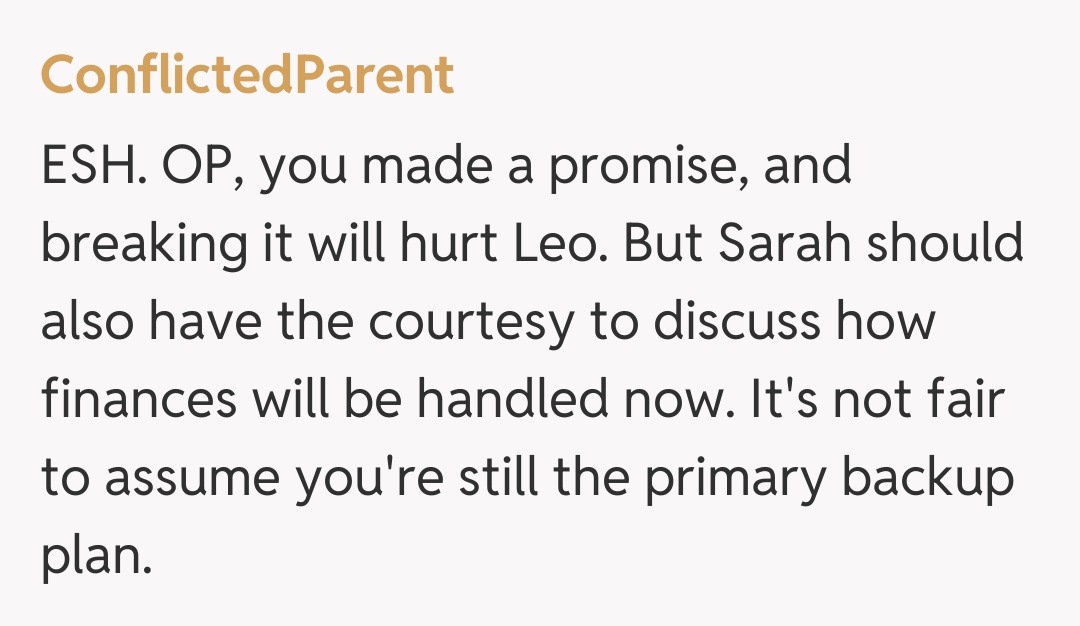 Comentariu de la ConflictedParent