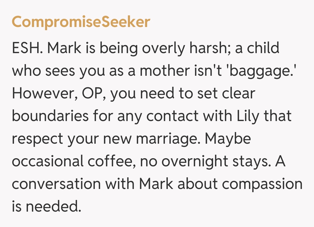 Comentariu de la CompromiseSeeker