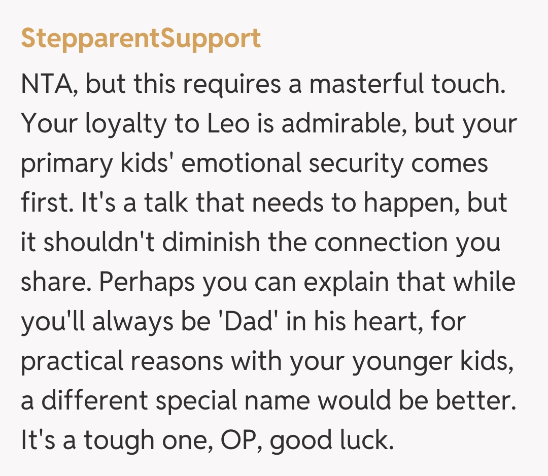 Comentariu de la StepparentSupport