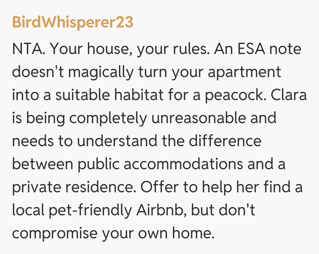 Comentariu de la BirdWhisperer23