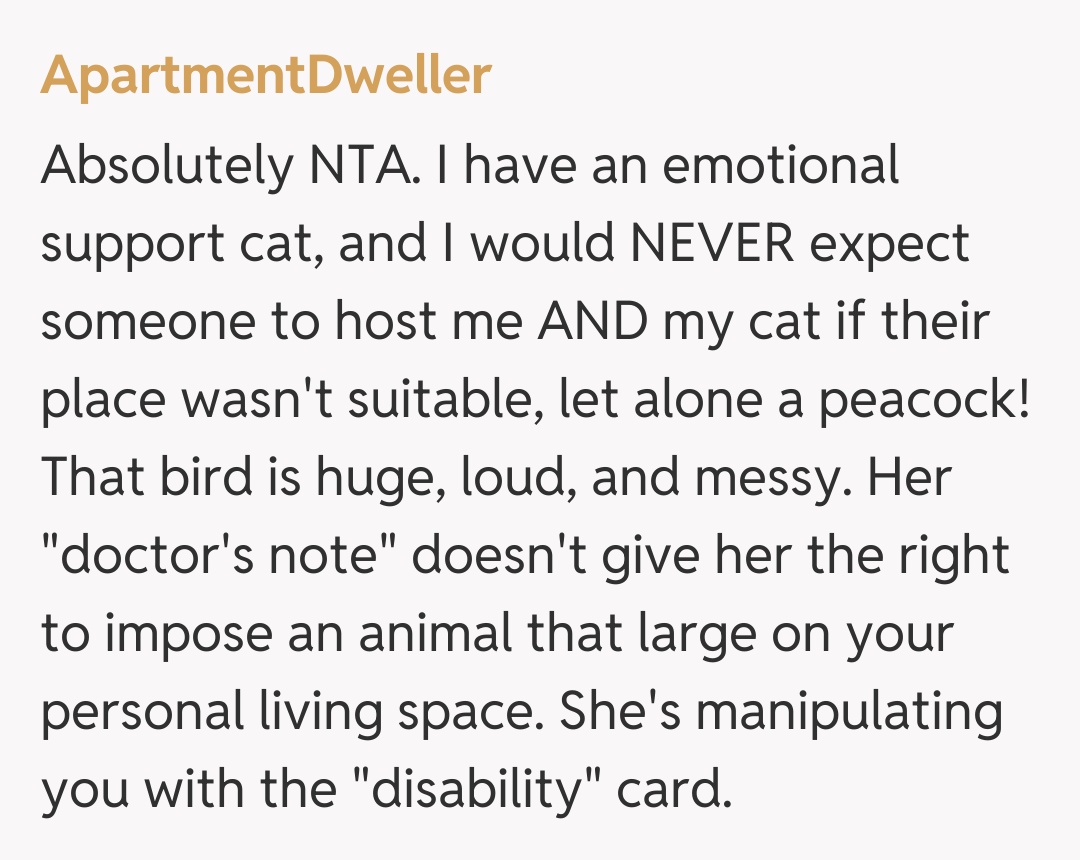 Comentariu de la ApartmentDweller