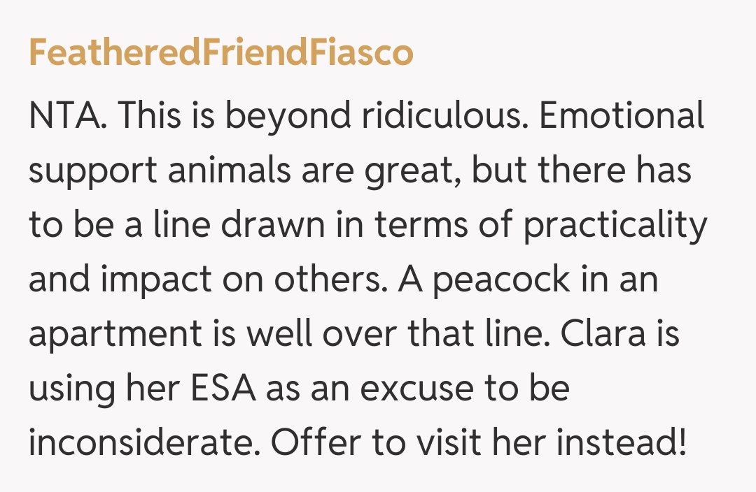 Comentariu de la FeatheredFriendFiasco