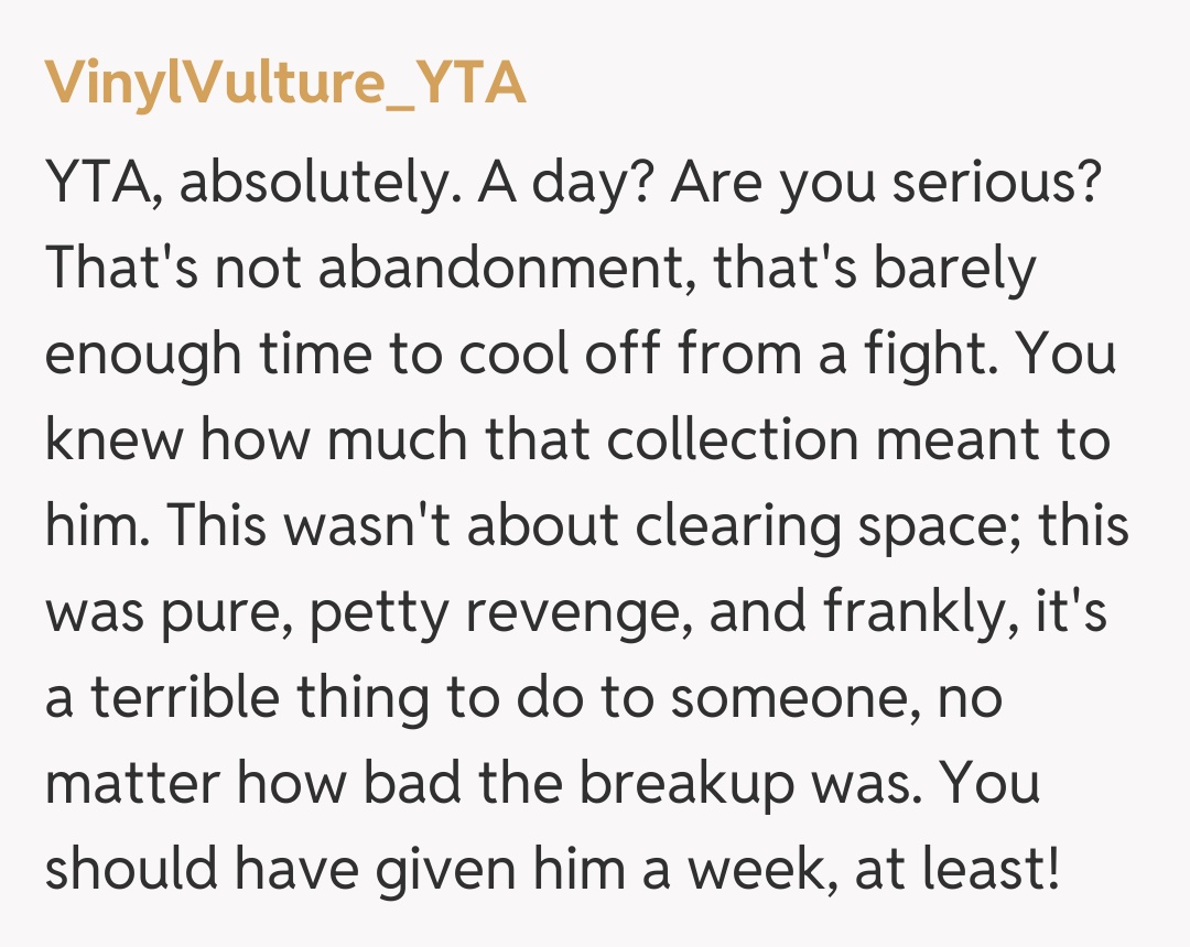 Comentariu de la VinylVulture_YTA